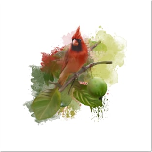 Northern Cardinal with sticker outline Posters and Art